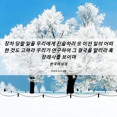 Picture 06 - 이사야 41:22 KOR - 장차 당할 일을 우리에게 진술하라 - Bible Verse Picture