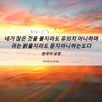Picture 06 - 이사야 42:20 KOR - 네가 많은 것을 볼지라도 유의치 - Bible Verse Picture