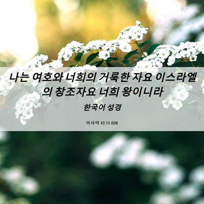 Picture 06 - 이사야 43:15 KOR - 나는 여호와 너희의 거룩한 자요 - Bible Verse Picture