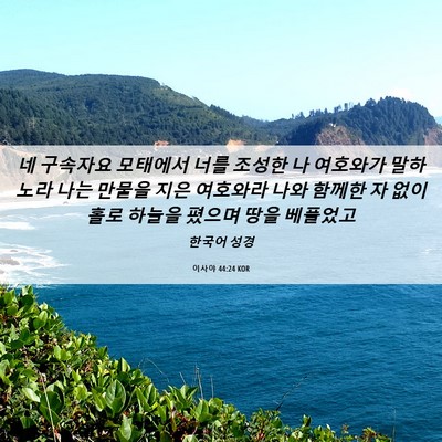 Picture 06 - 이사야 44:24 KOR - 네 구속자요 모태에서 너를 조성한 - Bible Verse Picture