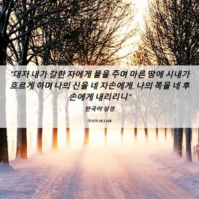 Picture 06 - 이사야 44:3 KOR - 