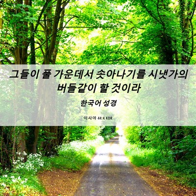 Picture 06 - 이사야 44:4 KOR - 그들이 풀 가운데서 솟아나기를 - Bible Verse Picture