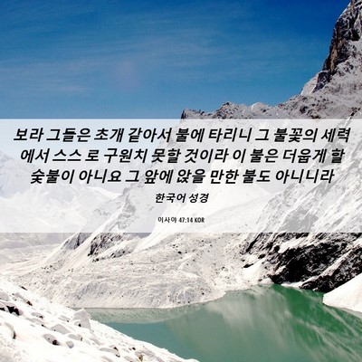 Picture 06 - 이사야 47:14 KOR - 보라 그들은 초개 같아서 불에 - Bible Verse Picture