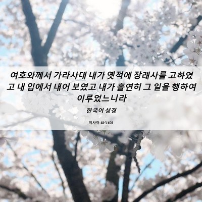 Picture 06 - 이사야 48:3 KOR - 여호와께서 가라사대 내가 옛적에 - Bible Verse Picture