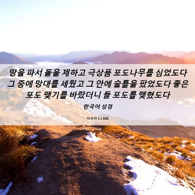 Picture 06 - 이사야 5:2 KOR - 땅을 파서 돌을 제하고 극상품 - Bible Verse Picture