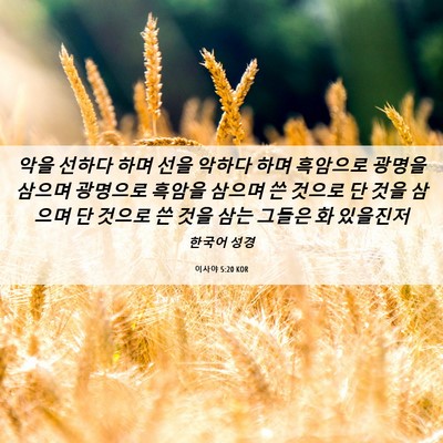Picture 06 - 이사야 5:20 KOR - 악을 선하다 하며 선을 악하다 하며 - Bible Verse Picture
