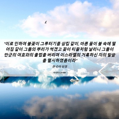 Picture 06 - 이사야 5:24 KOR - 