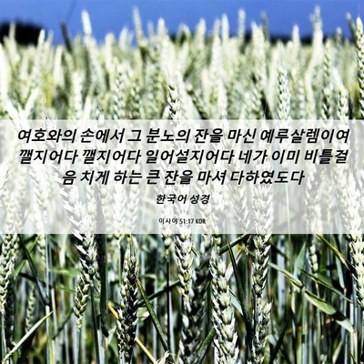 Picture 06 - 이사야 51:17 KOR - 여호와의 손에서 그 분노의 잔을 - Bible Verse Picture