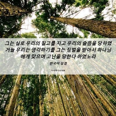 Picture 06 - 이사야 53:4 KOR - 그는 실로 우리의 질고를 지고 - Bible Verse Picture