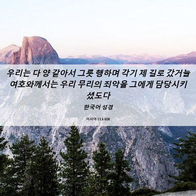 Picture 06 - 이사야 53:6 KOR - 우리는 다 양 같아서 그릇 행하며 - Bible Verse Picture