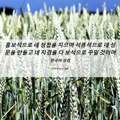 Picture 06 - 이사야 54:12 KOR - 홍보석으로 네 성첩을 지으며 - Bible Verse Picture