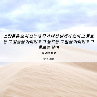 Picture 06 - 이사야 6:2 KOR - 스랍들은 모셔 섰는데 각기 여섯 - Bible Verse Picture