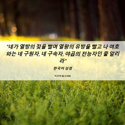Picture 06 - 이사야 60:16 KOR - 