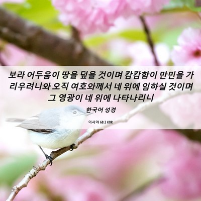 Picture 06 - 이사야 60:2 KOR - 보라 어두움이 땅을 덮을 것이며 - Bible Verse Picture