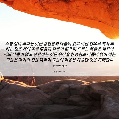 Picture 06 - 이사야 66:3 KOR - 소를 잡아 드리는 것은 살인함과 - Bible Verse Picture