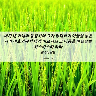 Picture 06 - 이사야 8:3 KOR - 내가 내 아내와 동침하매 그가 - Bible Verse Picture