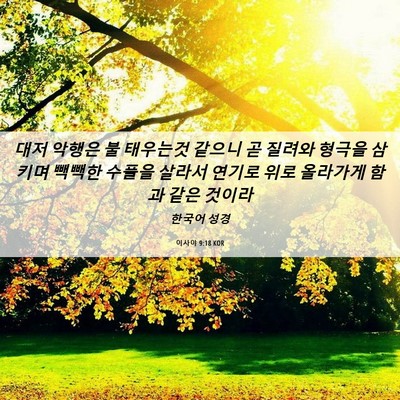 Picture 06 - 이사야 9:18 KOR - 대저 악행은 불 태우는것 같으니 곧 - Bible Verse Picture