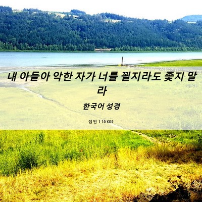 Picture 06 - 잠언 1:10 KOR - 내 아들아 악한 자가 너를 꾈지라도 - Bible Verse Picture