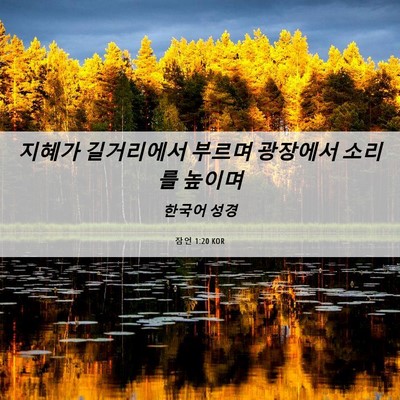 Picture 06 - 잠언 1:20 KOR - 지혜가 길거리에서 부르며 광장에서 - Bible Verse Picture