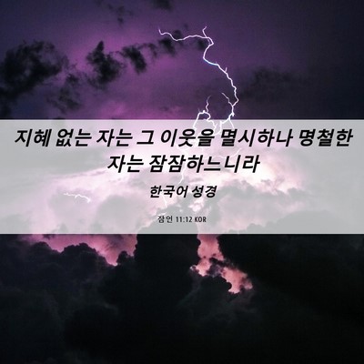 Picture 06 - 잠언 11:12 KOR - 지혜 없는 자는 그 이웃을 멸시하나 - Bible Verse Picture