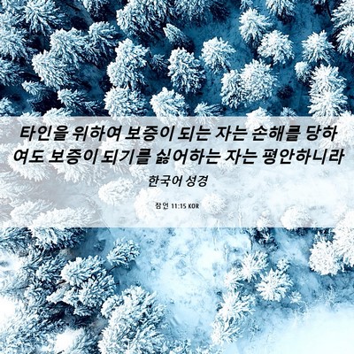 Picture 06 - 잠언 11:15 KOR - 타인을 위하여 보증이 되는 자는 - Bible Verse Picture