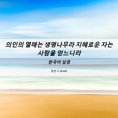 Picture 06 - 잠언 11:30 KOR - 의인의 열매는 생명나무라 지혜로운 - Bible Verse Picture