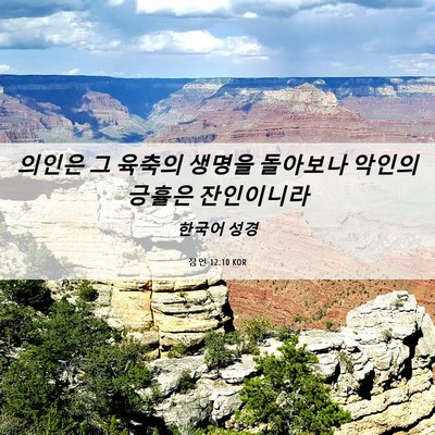 Picture 06 - 잠언 12:10 KOR - 의인은 그 육축의 생명을 돌아보나 - Bible Verse Picture