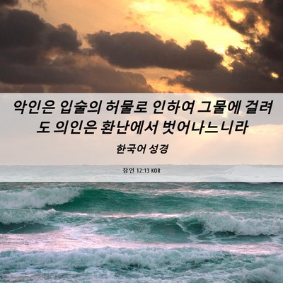 Picture 06 - 잠언 12:13 KOR - 악인은 입술의 허물로 인하여 그물에 - Bible Verse Picture
