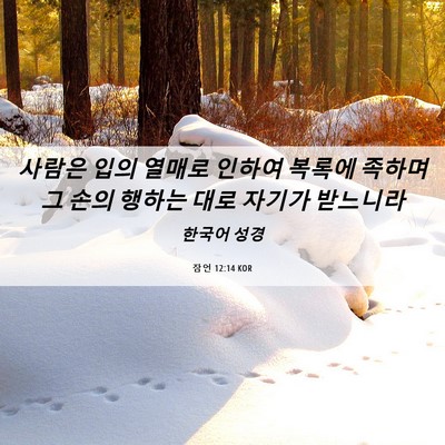 Picture 06 - 잠언 12:14 KOR - 사람은 입의 열매로 인하여 복록에 - Bible Verse Picture