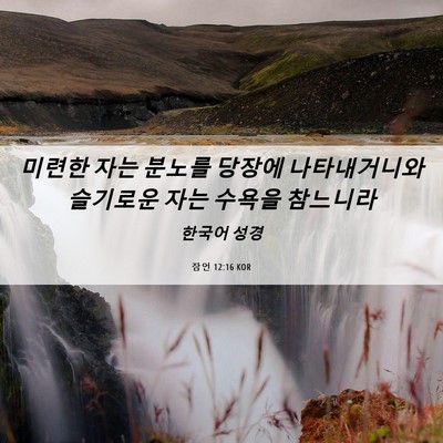 Picture 06 - 잠언 12:16 KOR - 미련한 자는 분노를 당장에 - Bible Verse Picture
