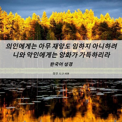Picture 06 - 잠언 12:21 KOR - 의인에게는 아무 재앙도 임하지 - Bible Verse Picture