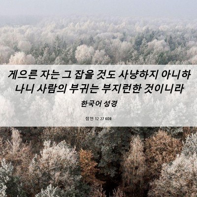 Picture 06 - 잠언 12:27 KOR - 게으른 자는 그 잡을 것도 사냥하지 - Bible Verse Picture