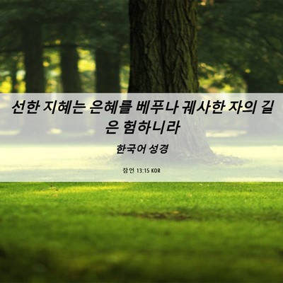 Picture 06 - 잠언 13:15 KOR - 선한 지혜는 은혜를 베푸나 궤사한 - Bible Verse Picture