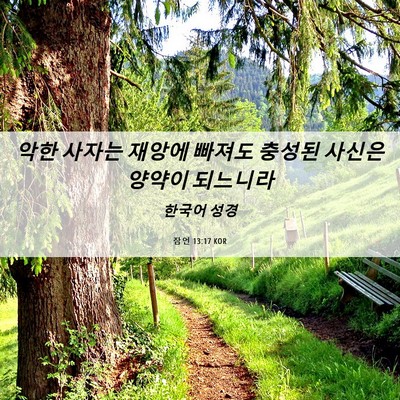 Picture 06 - 잠언 13:17 KOR - 악한 사자는 재앙에 빠져도 충성된 - Bible Verse Picture