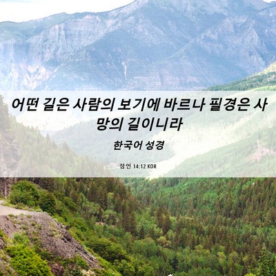 Picture 06 - 잠언 14:12 KOR - 어떤 길은 사람의 보기에 바르나 - Bible Verse Picture