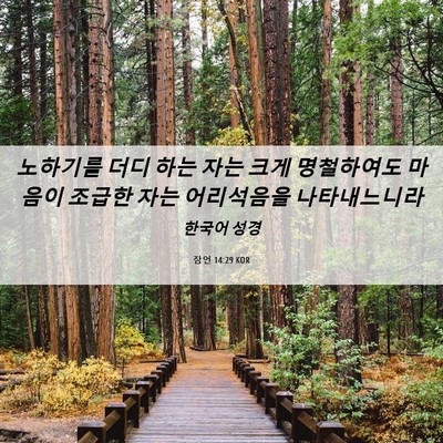 Picture 06 - 잠언 14:29 KOR - 노하기를 더디 하는 자는 크게 - Bible Verse Picture