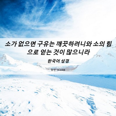 Picture 06 - 잠언 14:4 KOR - 소가 없으면 구유는 깨끗하려니와 - Bible Verse Picture