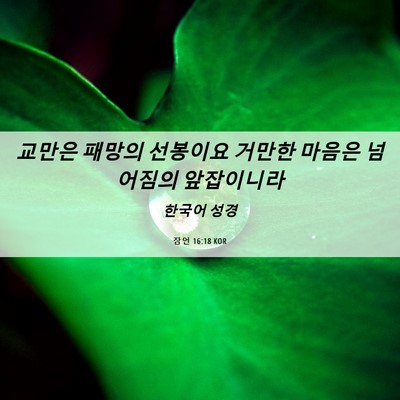 Picture 06 - 잠언 16:18 KOR - 교만은 패망의 선봉이요 거만한 - Bible Verse Picture