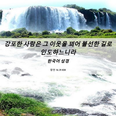 Picture 06 - 잠언 16:29 KOR - 강포한 사람은 그 이웃을 꾀어 - Bible Verse Picture
