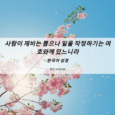 Picture 06 - 잠언 16:33 KOR - 사람이 제비는 뽑으나 일을 - Bible Verse Picture