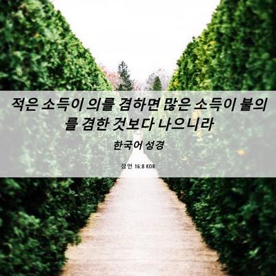 Picture 06 - 잠언 16:8 KOR - 적은 소득이 의를 겸하면 많은 - Bible Verse Picture