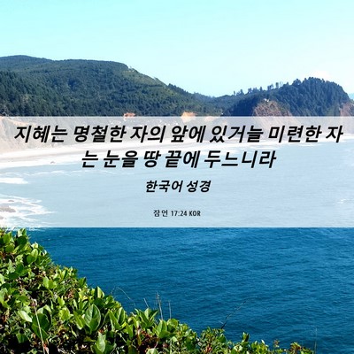 Picture 06 - 잠언 17:24 KOR - 지혜는 명철한 자의 앞에 있거늘 - Bible Verse Picture