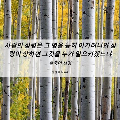 Picture 06 - 잠언 18:14 KOR - 사람의 심령은 그 병을 능히 - Bible Verse Picture
