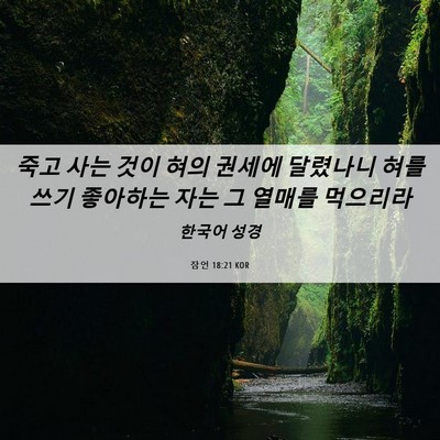 Picture 06 - 잠언 18:21 KOR - 죽고 사는 것이 혀의 권세에 - Bible Verse Picture