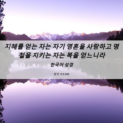 Picture 06 - 잠언 19:8 KOR - 지혜를 얻는 자는 자기 영혼을 - Bible Verse Picture