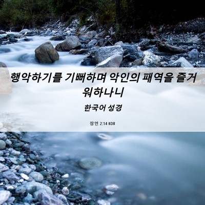 Picture 06 - 잠언 2:14 KOR - 행악하기를 기뻐하며 악인의 패역을 - Bible Verse Picture