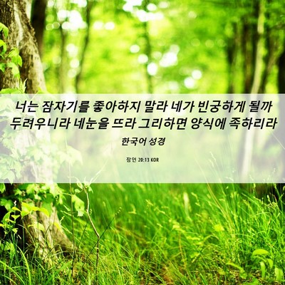 Picture 06 - 잠언 20:13 KOR - 너는 잠자기를 좋아하지 말라 네가 - Bible Verse Picture