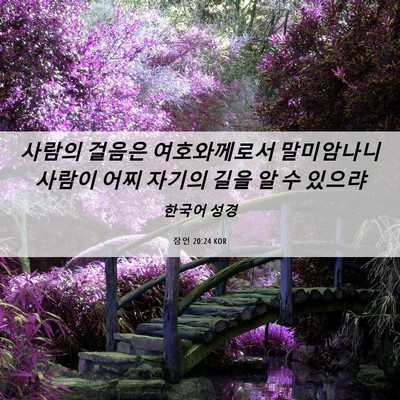 Picture 06 - 잠언 20:24 KOR - 사람의 걸음은 여호와께로서 - Bible Verse Picture