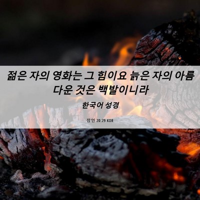 Picture 06 - 잠언 20:29 KOR - 젊은 자의 영화는 그 힘이요 늙은 - Bible Verse Picture