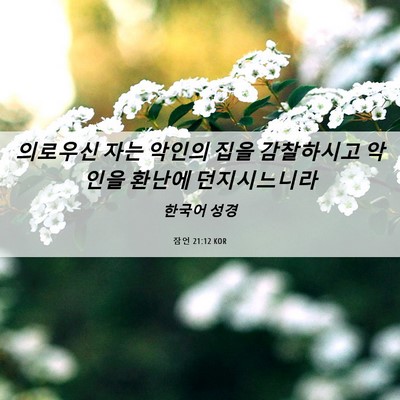Picture 06 - 잠언 21:12 KOR - 의로우신 자는 악인의 집을 - Bible Verse Picture